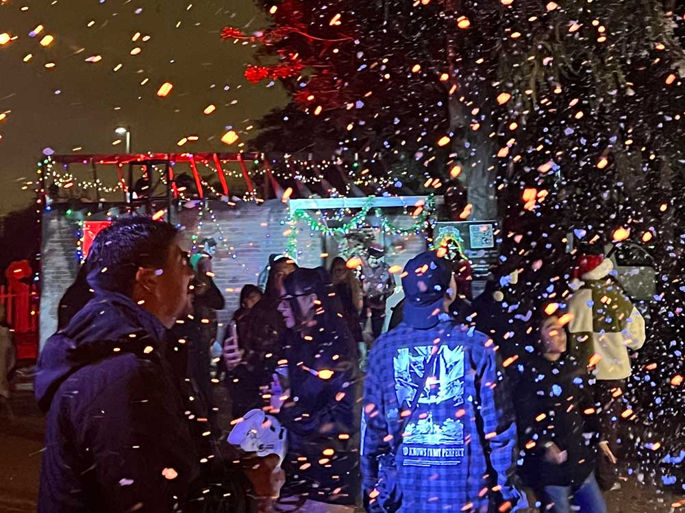 Crowd at a nighttime outdoor event under string lights with confetti or snow falling and a lit decorated tree